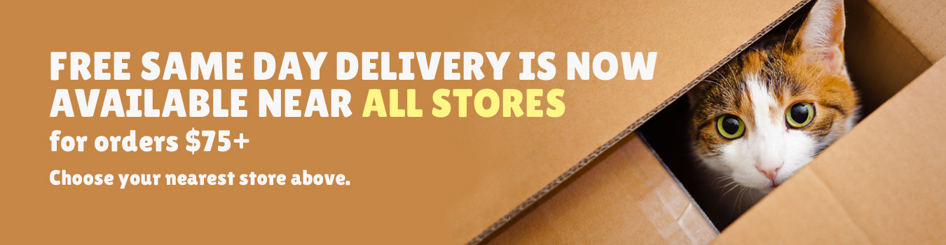 large stuffed black lab