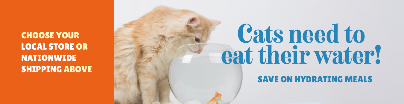 Cats need to eat their water