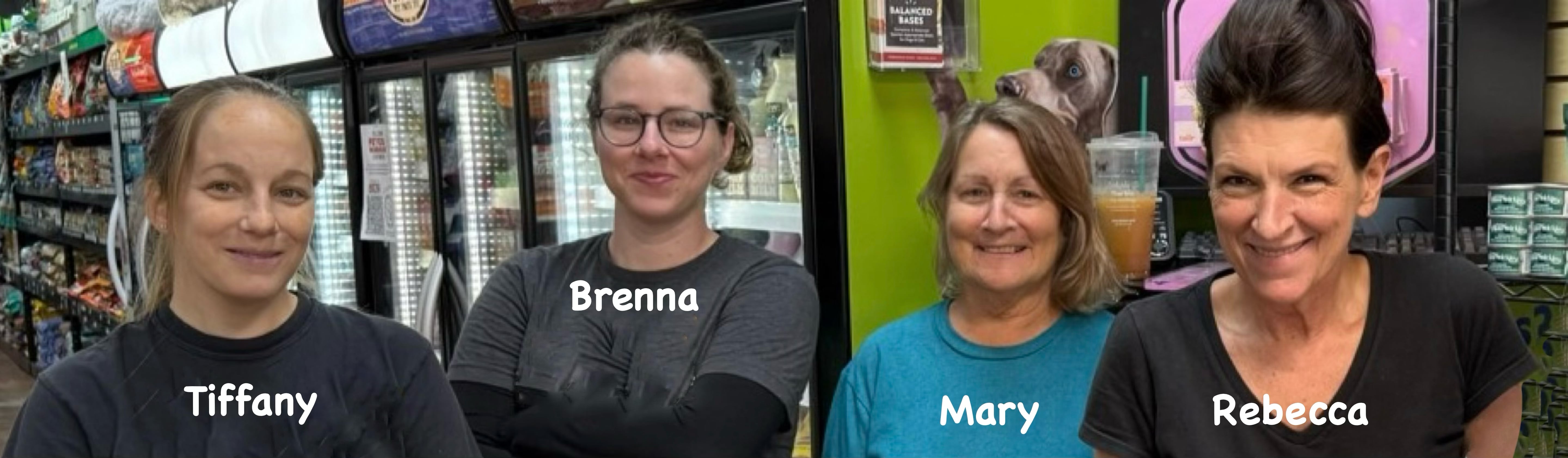 Meet the Team!