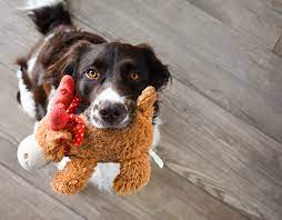 DOG TOYS