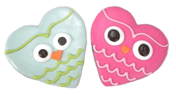 Pawsitively Gourmet Spring Owl Dog Cookies, 1-count