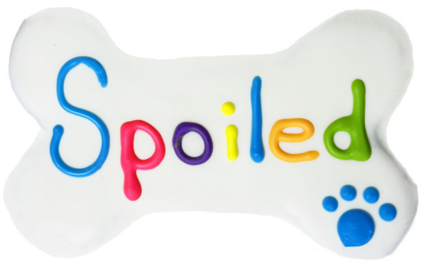 Pawsitivley Gourmet 6″ SPOILED COLORFUL BONE