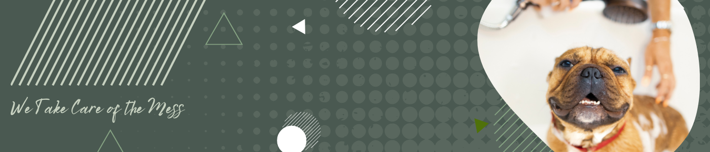 background banner