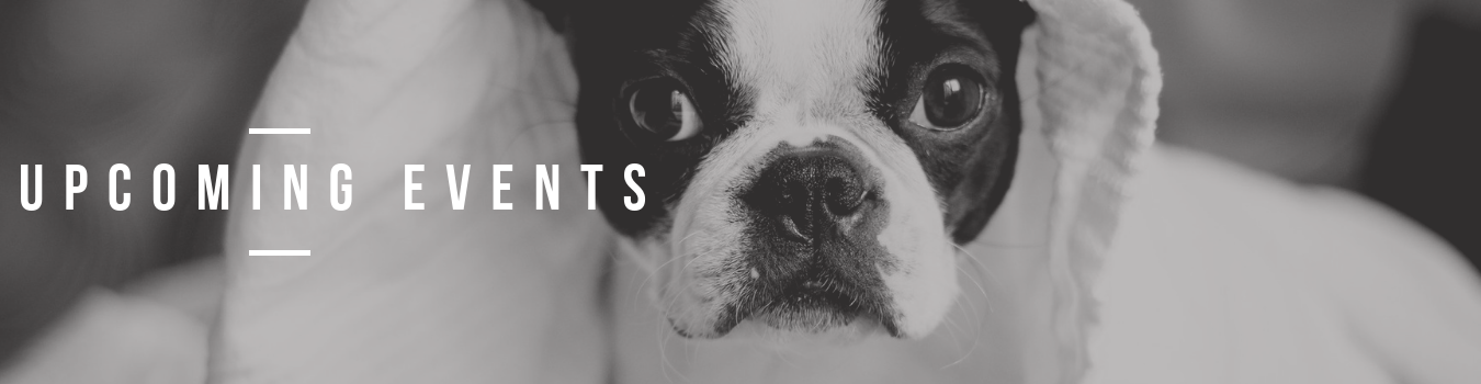 background banner