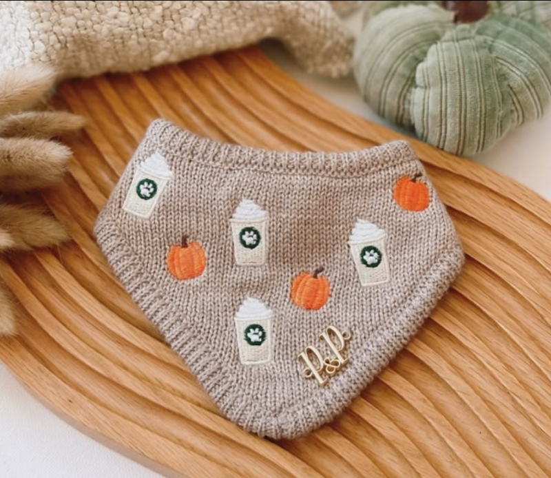 Pumpkin Spice Latte Bandana - XXS