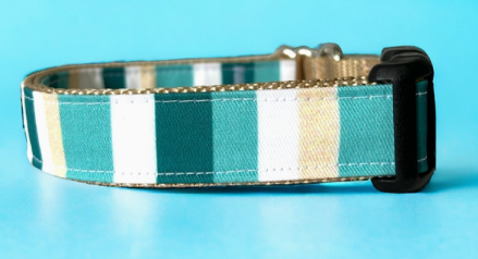 Aqua Stripe Dog Collar, Retro Surfer Stripes, Teal Aqua Gold | Leash 52"