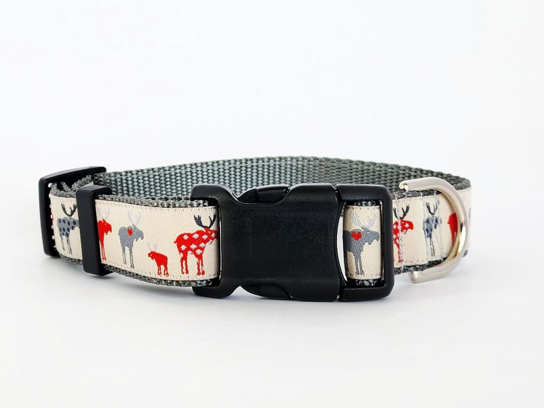 Moose Dog Collar - Large Collar 19" -28"