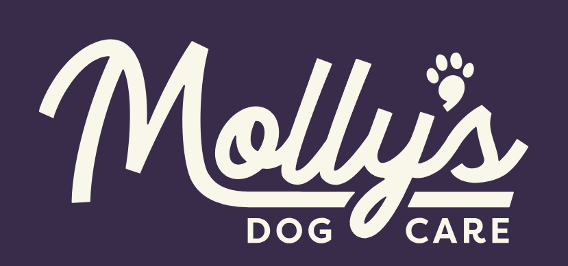 background banner