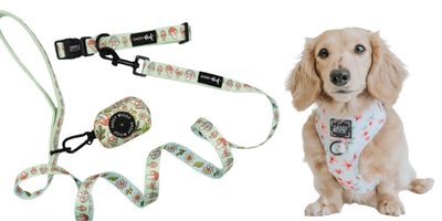 Collars Leashes & Harnsesses