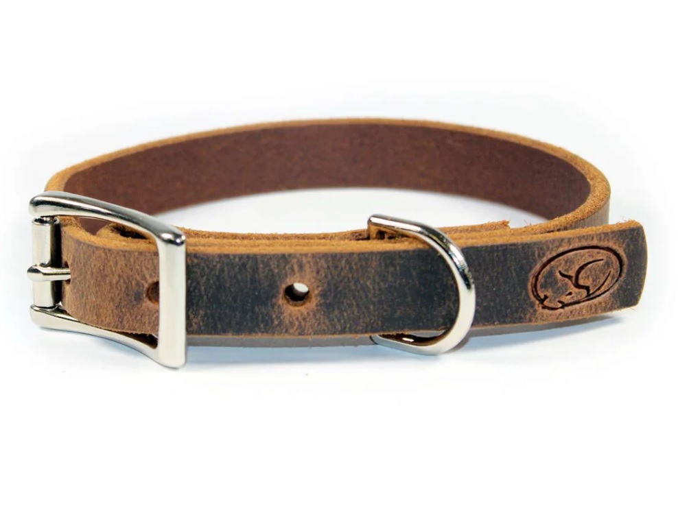 Sleepy Pup Thick Leather Collar-Dark Brown-Large
