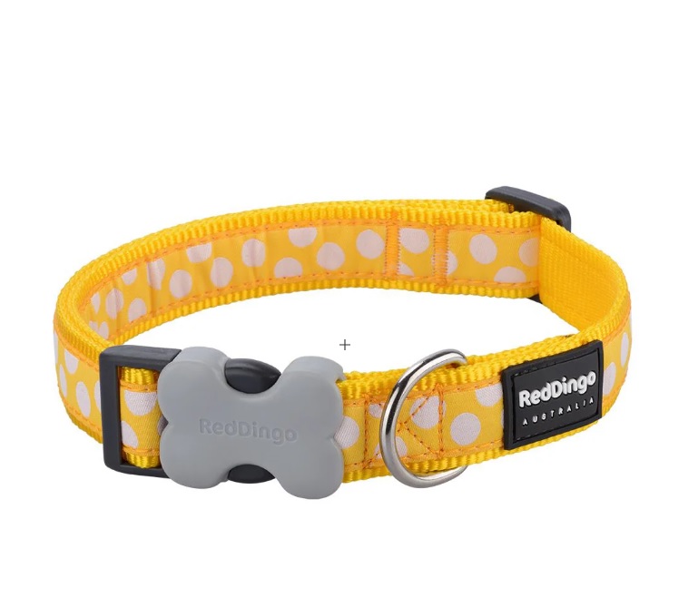 Red Dingo Collar-WHITE SPOTS ON Y-15