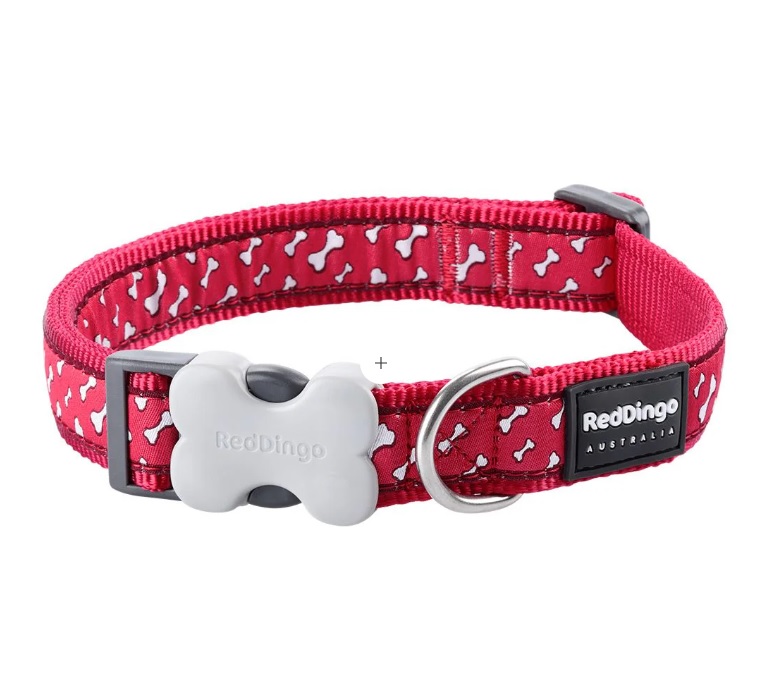 Red Dingo Collar-Flying Bones Red-15