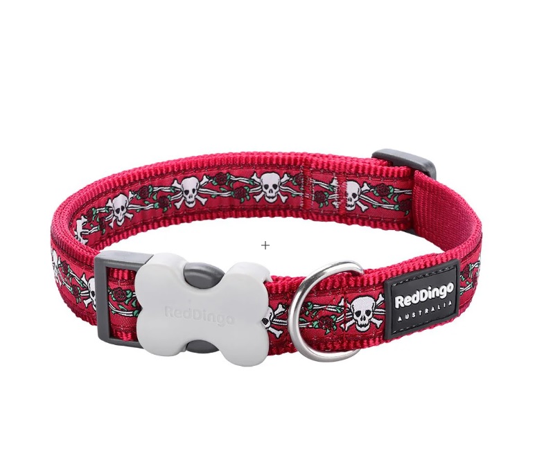 Red Dingo Collar-Skull & Rose-20