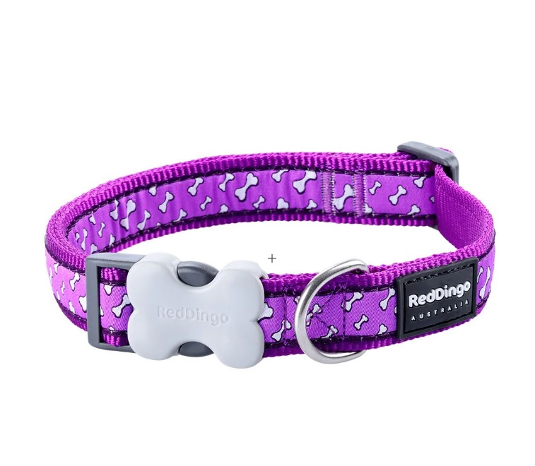 Red Dingo Collar-Flying Bones Pur-25