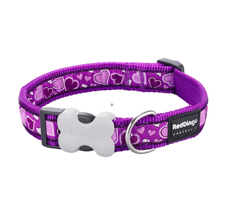 Red Dingo Collar-BREEZY LOVE PURP-25