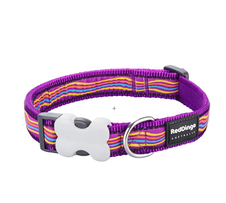 Red Dingo Collar-Dream. Purpl-S