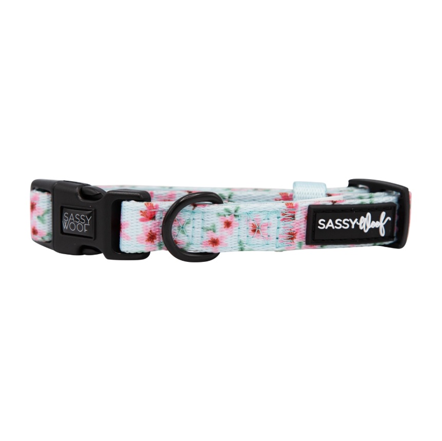 Sassy Woof Dog Collar, Sakura, Large
