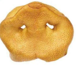 Pig Snouts