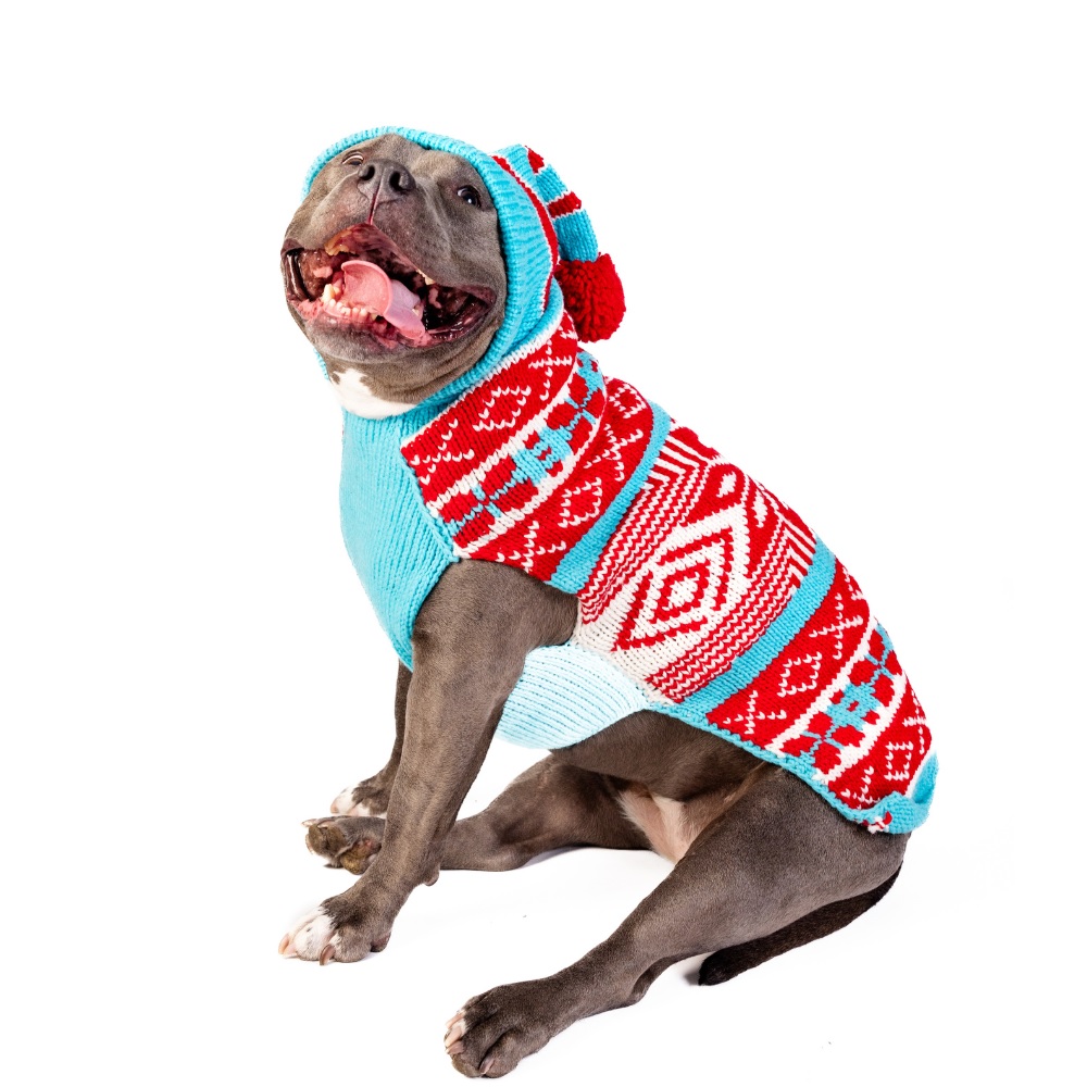 Chilly Dog Sweater Peppermint Large