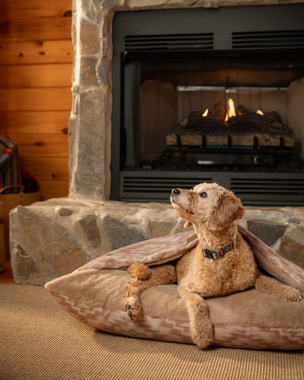 Pendleton Pet Burrow Bed Mesilla Ginger, Small