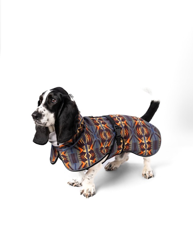 Pendleton Pet Waterproof Dog Adventure Coat, Mystic Lake, Small