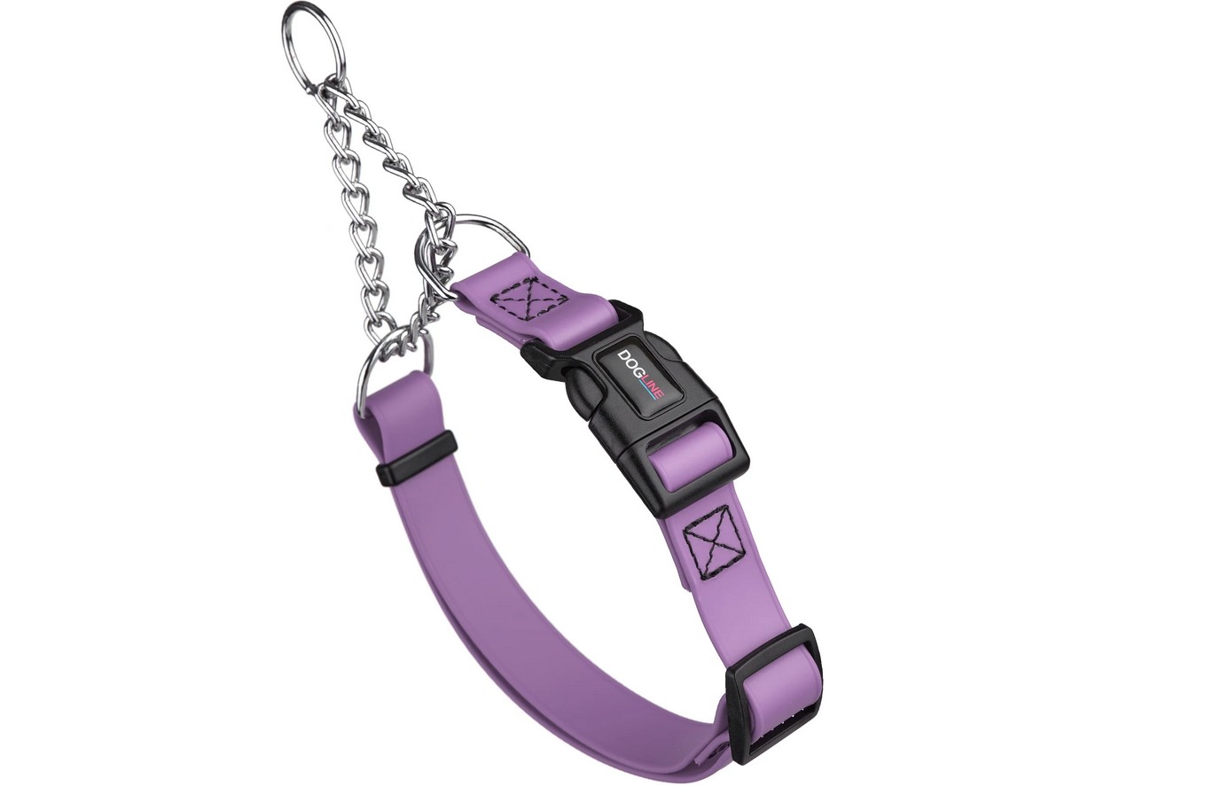 Dogline Biothane Adjustable Martingale Collar with Quick Release Buckle for Dogs, Amethyst Purple, 1-in x 20-26-in