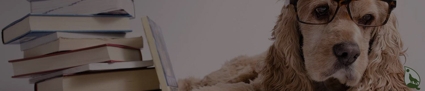 background banner