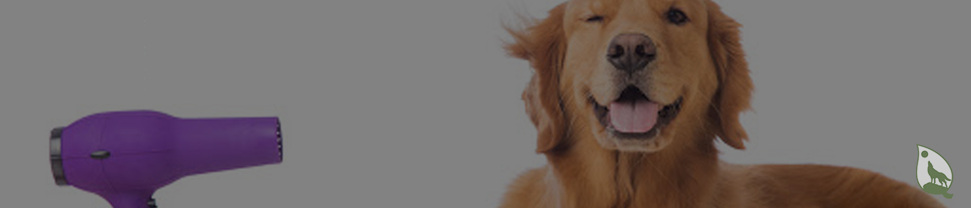 background banner