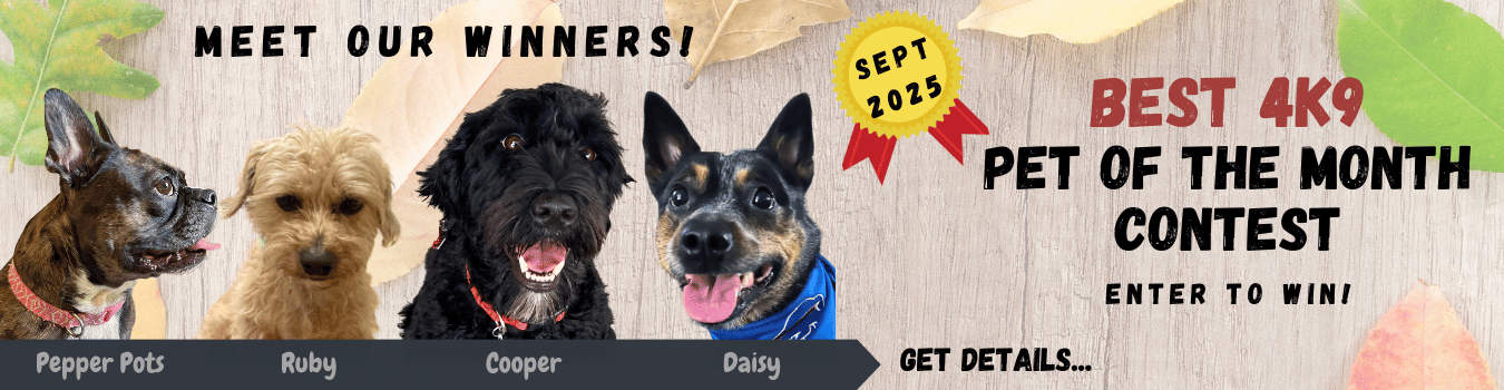 Pet of the Month