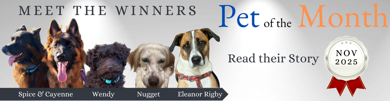 Pet of the Month - NEW version banner 120325