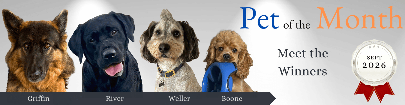 Best 4K9 - Winston Salem - Business Photo