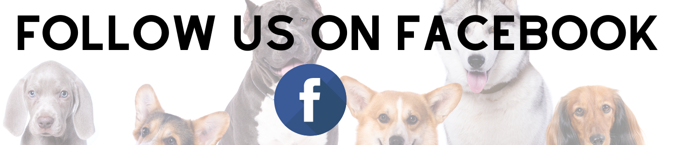 Follow Us On Facebook