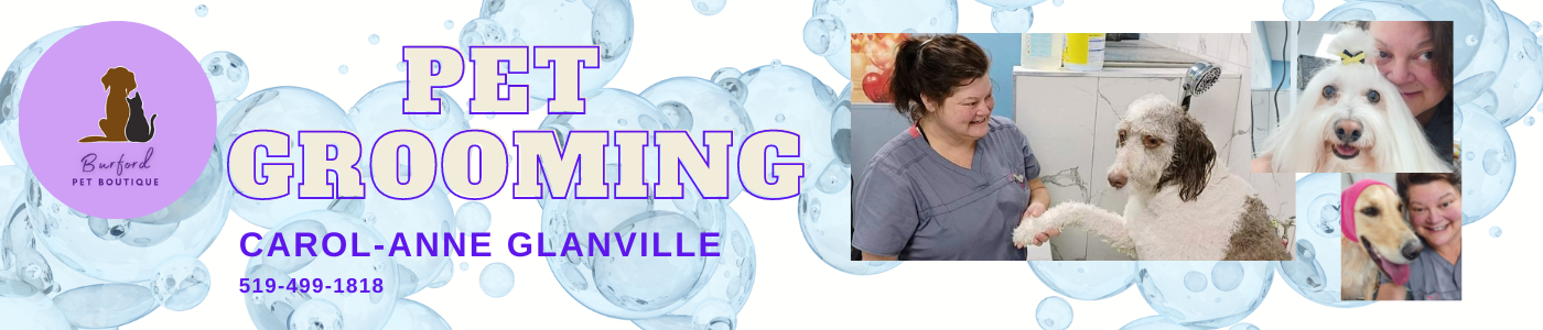 background banner