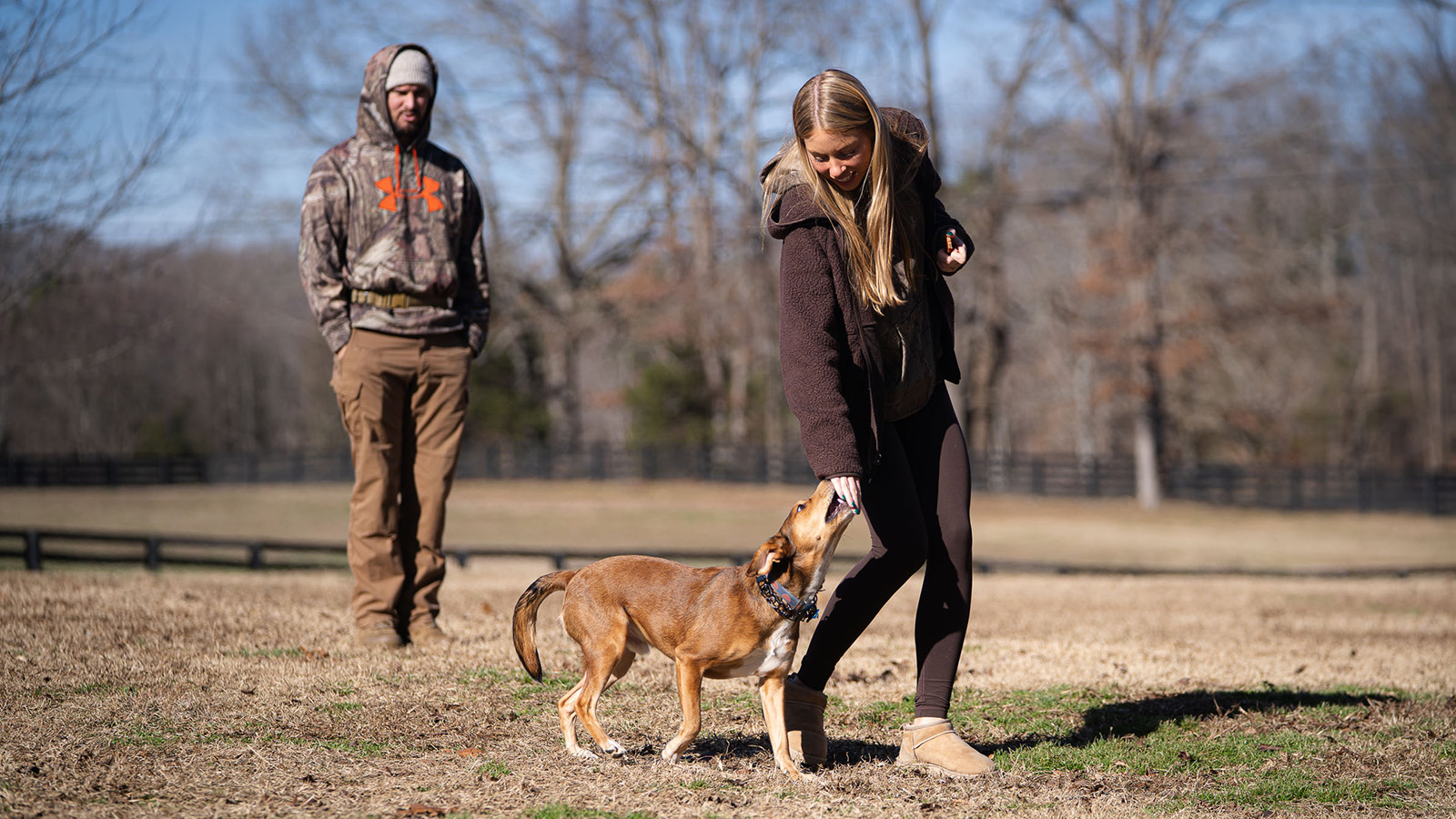 Nashville dog trainer working with client on obedience training