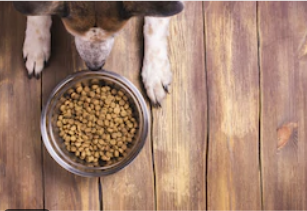 Dog Food