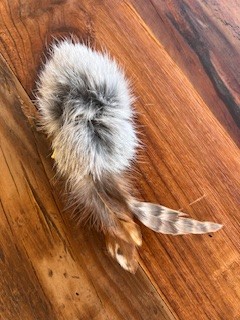 Whiskers 'n paw birbit cat toy