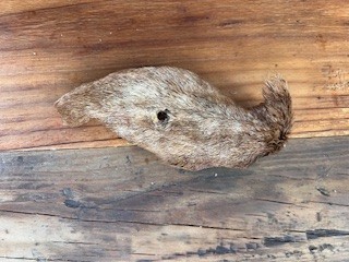 Ranch to Bowl Goat Ear with Fur