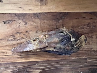 Ranch To Bowl Duck Head