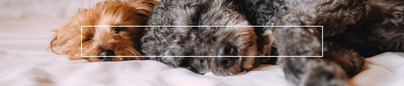background banner