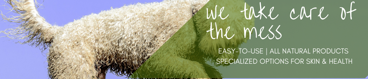 background banner