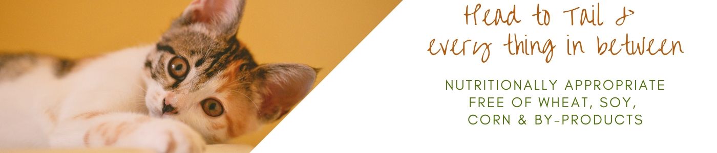 background banner