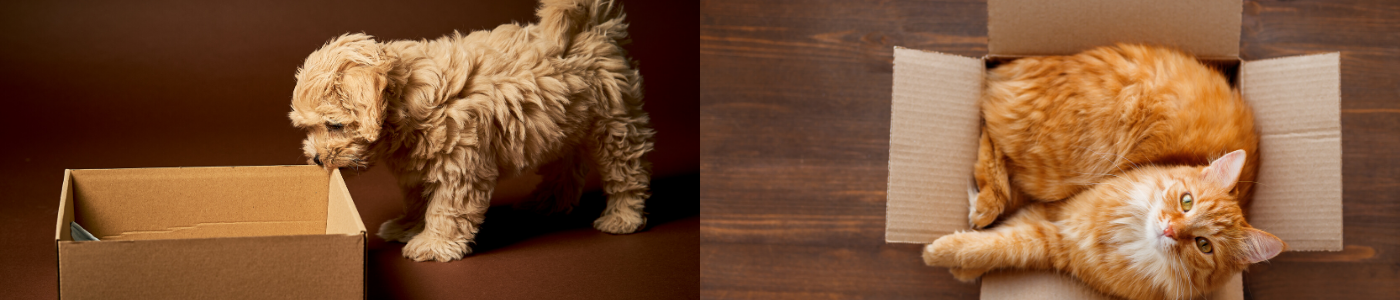 background banner