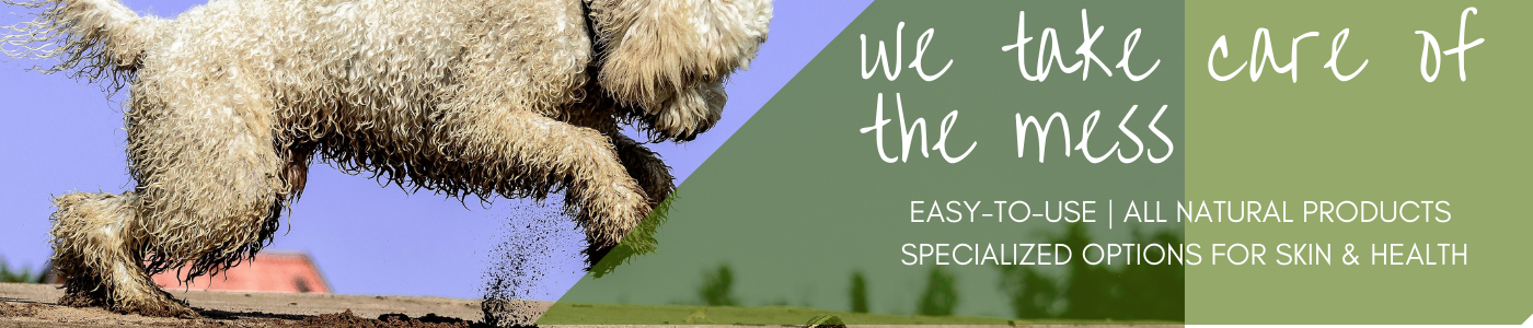 background banner