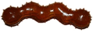 INDIPETS SPIKEY SNAKE