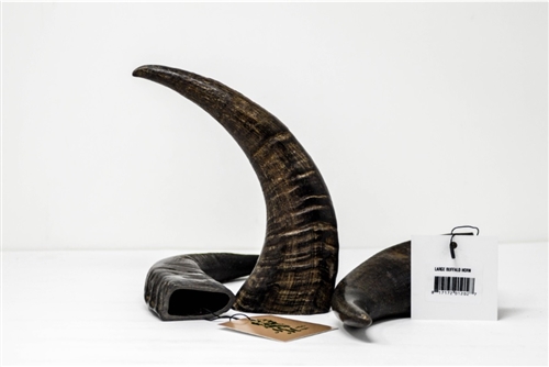 MERLIN'S MAGIC LARGE BUFFALO HORN