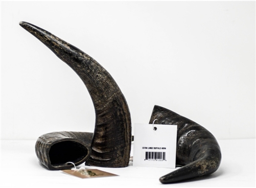 MERLIN'S MAGIC EXTRA LARGE BUFFALO HORN
