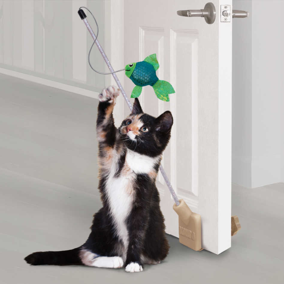 Kong Connects Angler Door Teaser Cat Toy