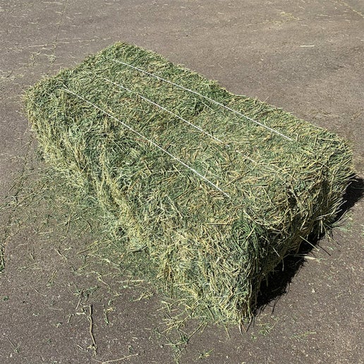 Alfalfa Hay 3 Wire - 2nd Cutting
