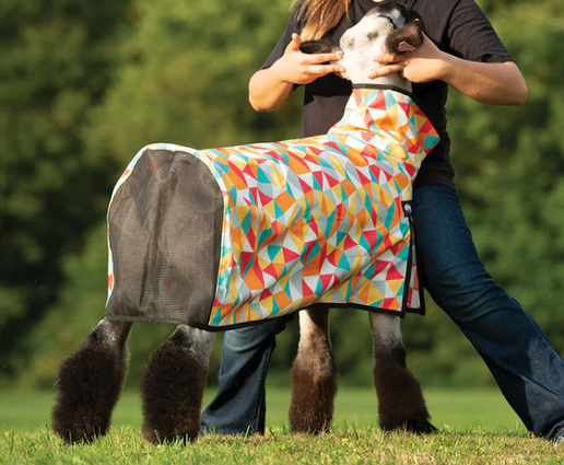 Nylon Sheep Blanket, Mesh Butt - Kaleidoscope, Medium