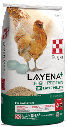 Purina Layena+ High Protein 19% Layer Pellets 40LB